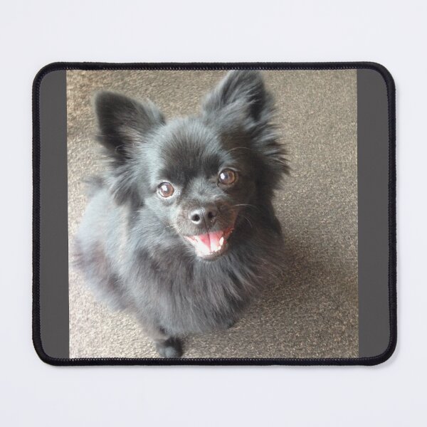 Item preview, Pomeranian  designed and sold by JPOempathy.