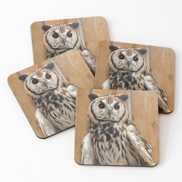 Item preview, Striped Owl designed and sold by Krys Bailey.