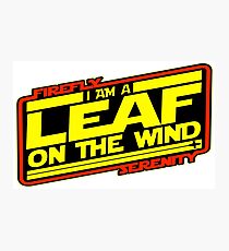 Firefly Strikes Back Photographic Print