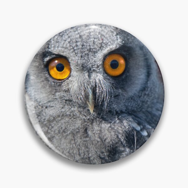 Item preview, White-Faced Scops Owl Fledgling designed and sold by Krys Bailey.