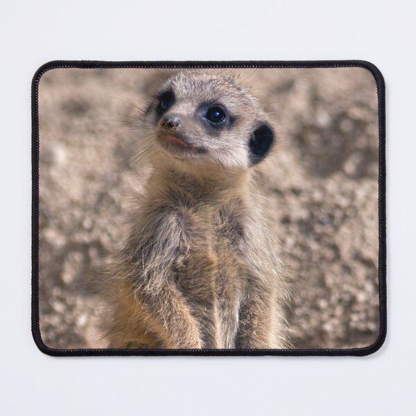 Item preview, Baby Slender-Tailed Meerkat designed and sold by Krys Bailey.