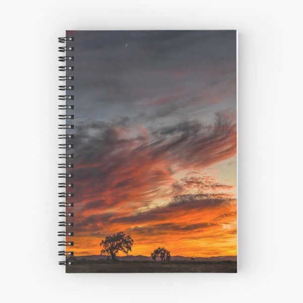 Item preview, Crescent Moon designed and sold by MCHerdering Photography.