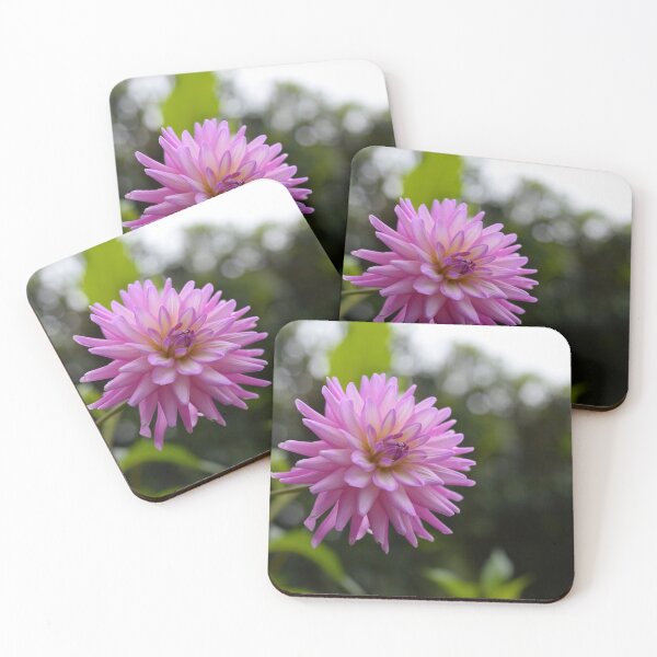 Item preview, A beautiful Crimson Dahlia photographed with bokeh designed and sold by JessicaKeegan.