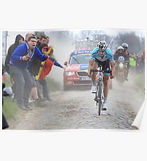 Tom Boonen Poster