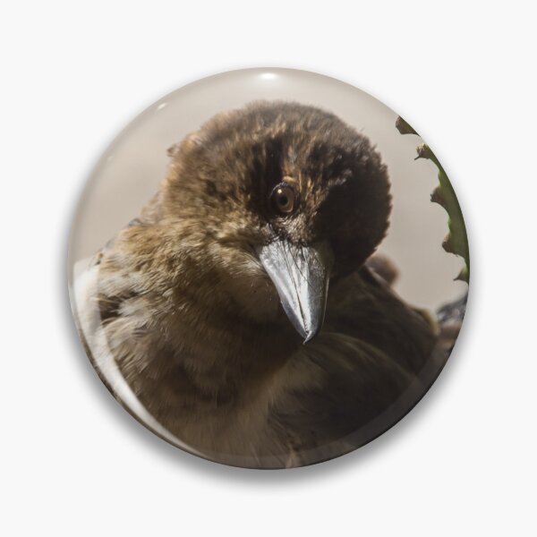 Item preview, Butcherbird  designed and sold by kripalsutariya.