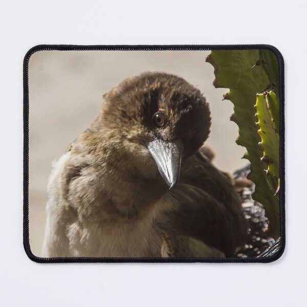Item preview, Butcherbird  designed and sold by kripalsutariya.