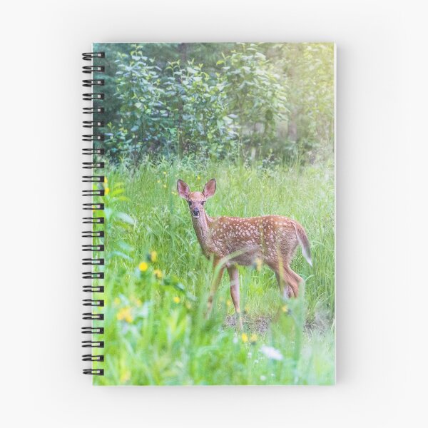 Item preview, Fawn in a Forest, Minnesota designed and sold by Amy Louhela.
