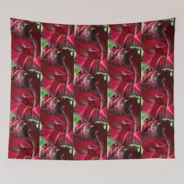 Item preview, Gladiolus 'Black Surprise' designed and sold by Chris Burrows.