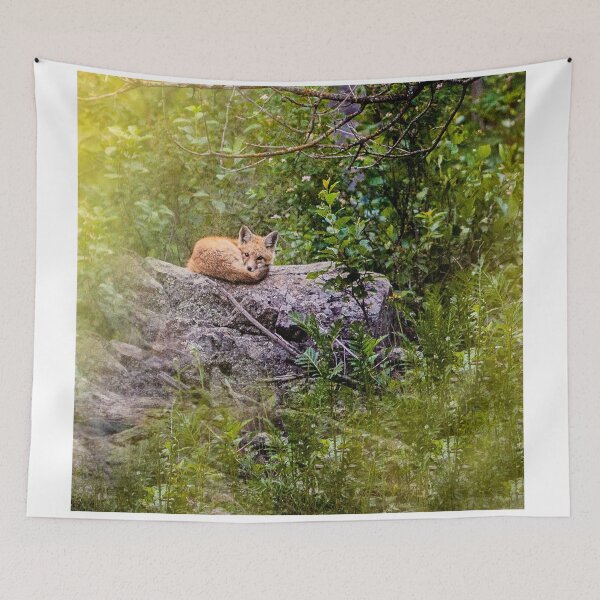 Item preview, Baby Kit, Fox, Minnesota designed and sold by Amy Louhela.