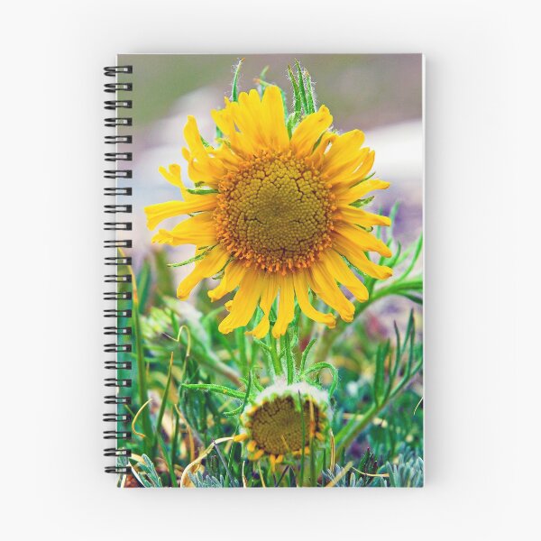 Item preview, Alpine Sunflower in Summer  designed and sold by Robert Meyers-Lussier.