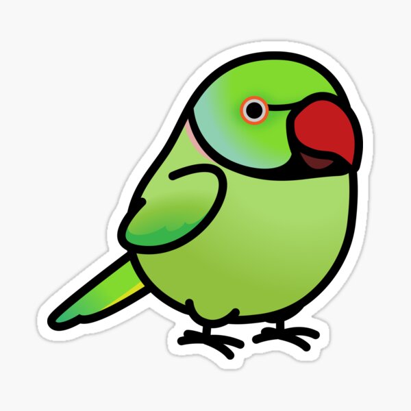 Item preview, Chubby Green Indian Ringneck Parakeet designed and sold by birdhism.