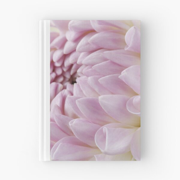 Item preview, Dahlia  'Eveline'  Decorative  Small  designed and sold by Chris Burrows.