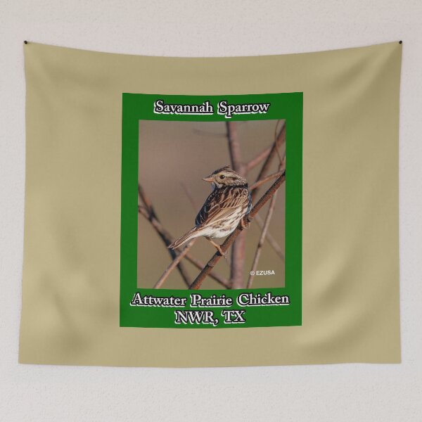 Item preview, Give Someone You Love The Bird: Captain Jack's Cousin Savannah Sparrow, Attwater Prairie Chicken NWR, Texas. designed and sold by MoreEZUSA-Here.