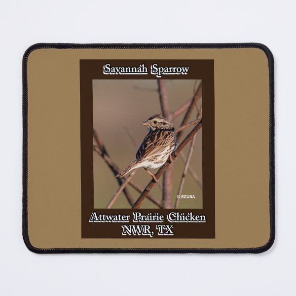 Item preview, The Perfect Gift For A Bird Lover: Captain Jack's Cousin Savannah Sparrow, Attwater Prairie Chicken NWR, Texas. designed and sold by MoreEZUSA-Here.
