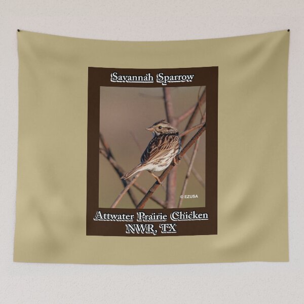 Item preview, The Perfect Gift For A Bird Lover: Captain Jack's Cousin Savannah Sparrow, Attwater Prairie Chicken NWR, Texas. designed and sold by MoreEZUSA-Here.
