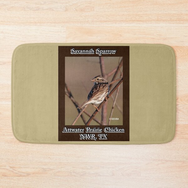 Item preview, The Perfect Gift For A Bird Lover: Captain Jack's Cousin Savannah Sparrow, Attwater Prairie Chicken NWR, Texas. designed and sold by MoreEZUSA-Here.