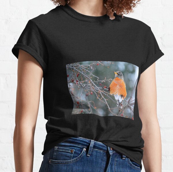Robin in Winter #3 Classic T-Shirt