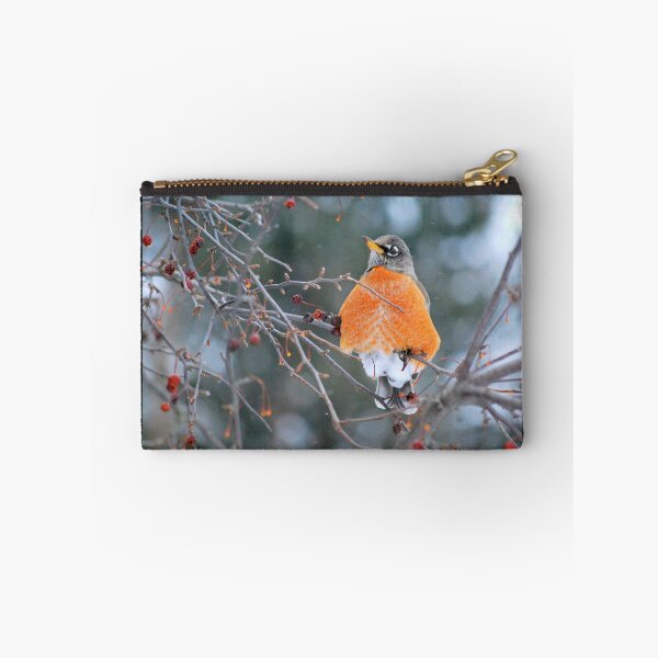 Item preview, Robin in Winter #3 designed and sold by Laurie Minor.