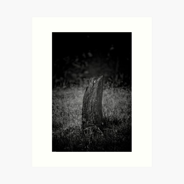 Artikelvorschau, Tree + Fire = Stump entworfen und verkauft von David Petranker.