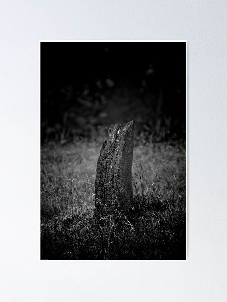Thumbnail 1 of 3, Poster, Tree + Fire = Stump designed and sold by mchammerhead.