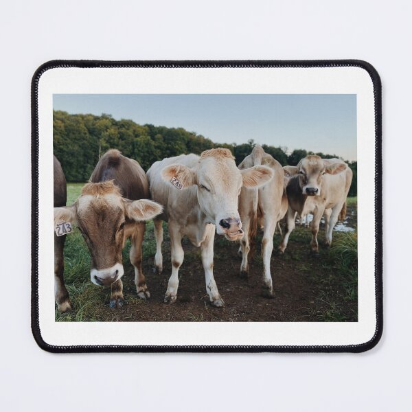 Item preview, Yawning cow designed and sold by archiesvt.