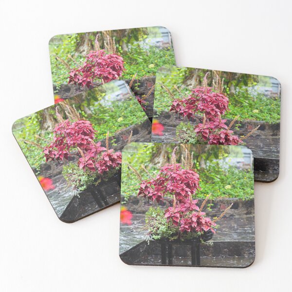 Item preview, Begonia in the rain designed and sold by MiniFoe.