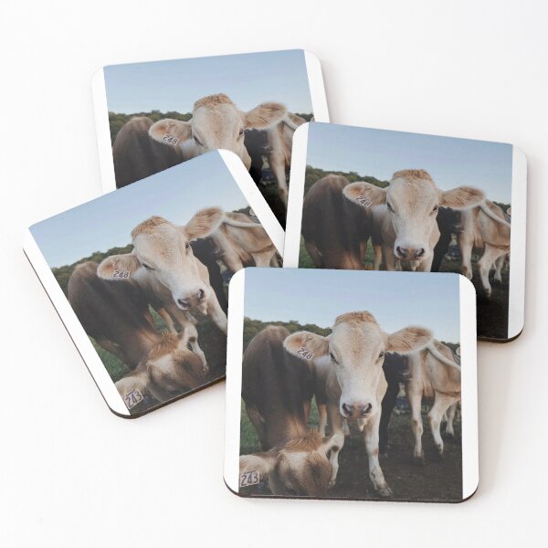 Item preview, Brown Swiss at Shelburne Farms designed and sold by archiesvt.