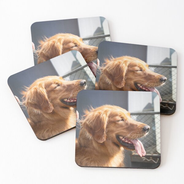 Item preview, Woodside RSPCA dog show, Knighton Park 2023 designed and sold by Woodside-RSPCA.