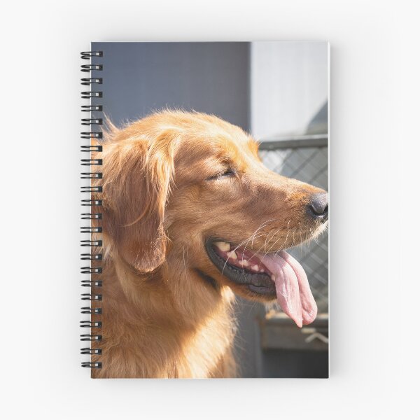 Item preview, Woodside RSPCA dog show, Knighton Park 2023 designed and sold by Woodside-RSPCA.