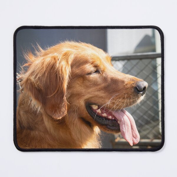 Item preview, Woodside RSPCA dog show, Knighton Park 2023 designed and sold by Woodside-RSPCA.