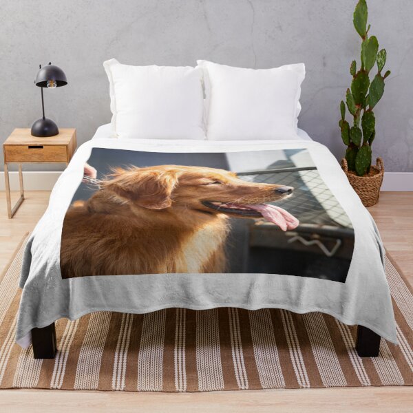 Item preview, Woodside RSPCA dog show, Knighton Park 2023 designed and sold by Woodside-RSPCA.