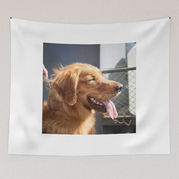 Item preview, Woodside RSPCA dog show, Knighton Park 2023 designed and sold by Woodside-RSPCA.
