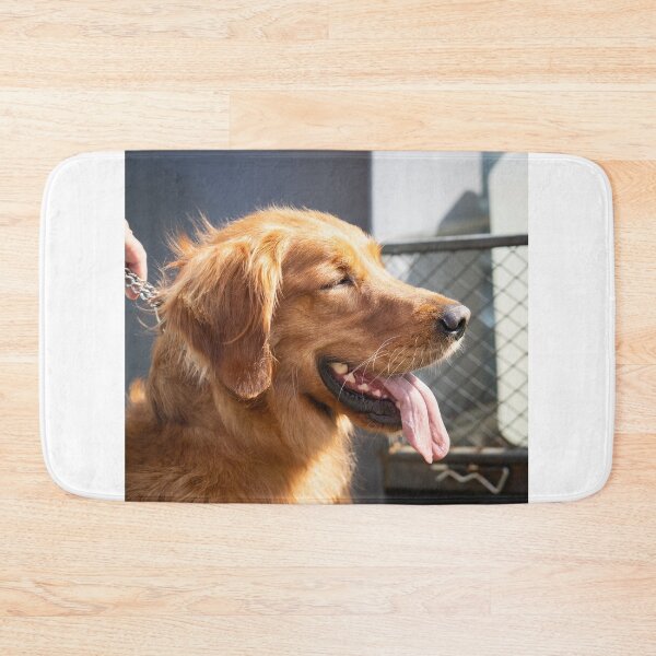 Item preview, Woodside RSPCA dog show, Knighton Park 2023 designed and sold by Woodside-RSPCA.