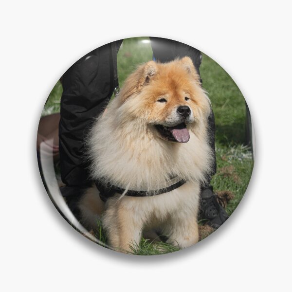 Item preview, Woodside RSPCA dog show, Knighton Park 2023 designed and sold by Woodside-RSPCA.