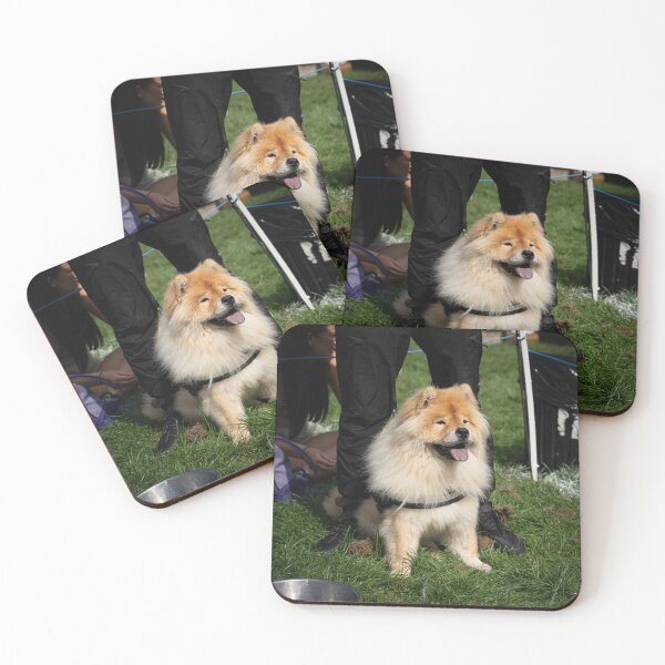 Item preview, Woodside RSPCA dog show, Knighton Park 2023 designed and sold by Woodside-RSPCA.
