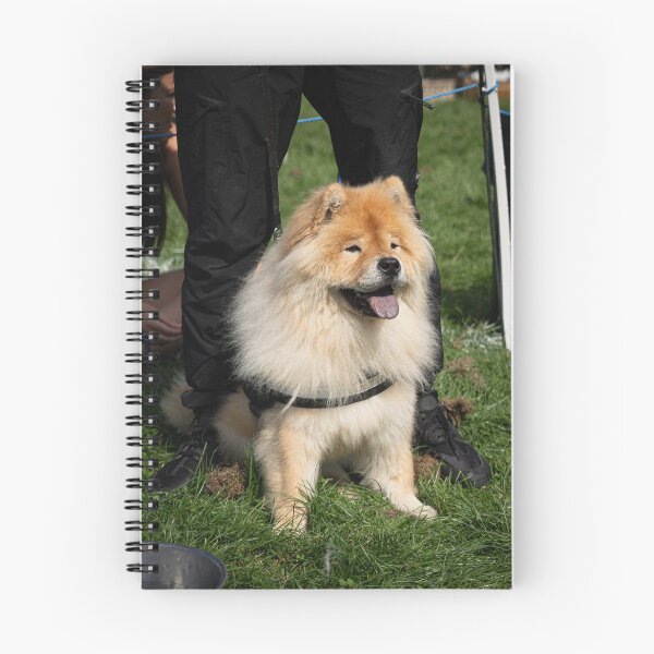 Item preview, Woodside RSPCA dog show, Knighton Park 2023 designed and sold by Woodside-RSPCA.