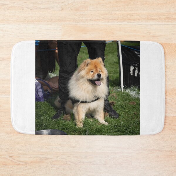 Item preview, Woodside RSPCA dog show, Knighton Park 2023 designed and sold by Woodside-RSPCA.