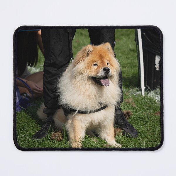 Item preview, Woodside RSPCA dog show, Knighton Park 2023 designed and sold by Woodside-RSPCA.