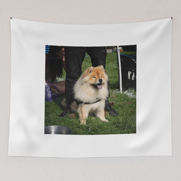 Item preview, Woodside RSPCA dog show, Knighton Park 2023 designed and sold by Woodside-RSPCA.