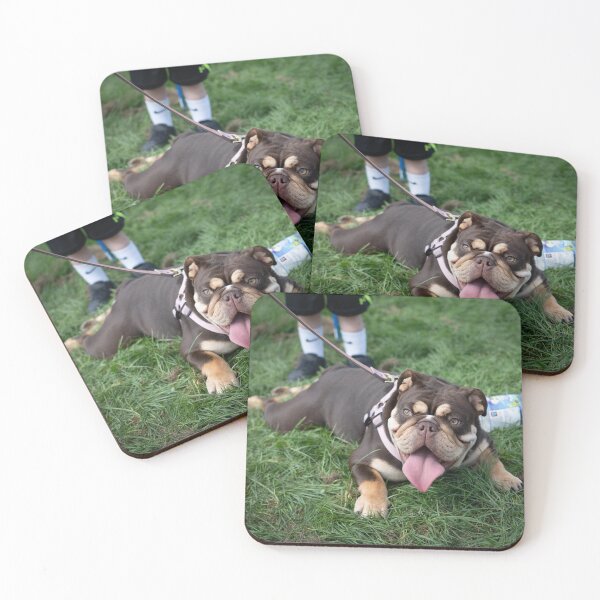 Item preview, Woodside RSPCA dog show, Knighton Park 2023 designed and sold by Woodside-RSPCA.