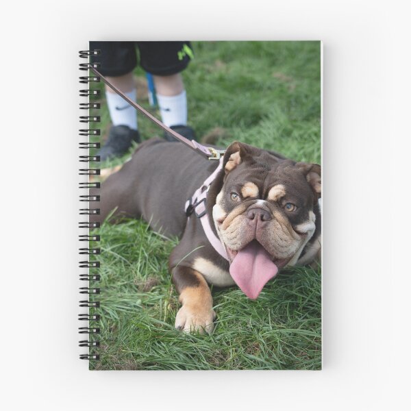 Item preview, Woodside RSPCA dog show, Knighton Park 2023 designed and sold by Woodside-RSPCA.