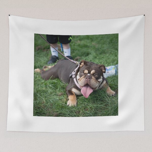 Item preview, Woodside RSPCA dog show, Knighton Park 2023 designed and sold by Woodside-RSPCA.