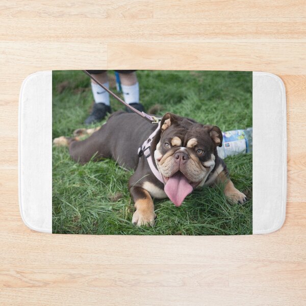 Item preview, Woodside RSPCA dog show, Knighton Park 2023 designed and sold by Woodside-RSPCA.