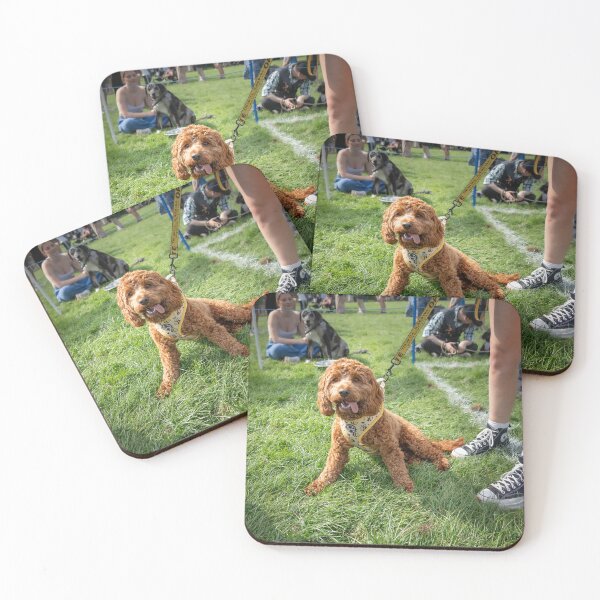 Item preview, Woodside RSPCA dog show, Knighton Park 2023 designed and sold by Woodside-RSPCA.