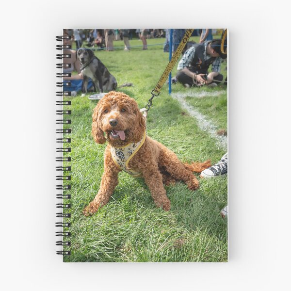Item preview, Woodside RSPCA dog show, Knighton Park 2023 designed and sold by Woodside-RSPCA.