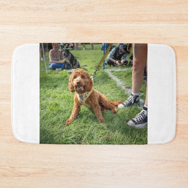 Item preview, Woodside RSPCA dog show, Knighton Park 2023 designed and sold by Woodside-RSPCA.