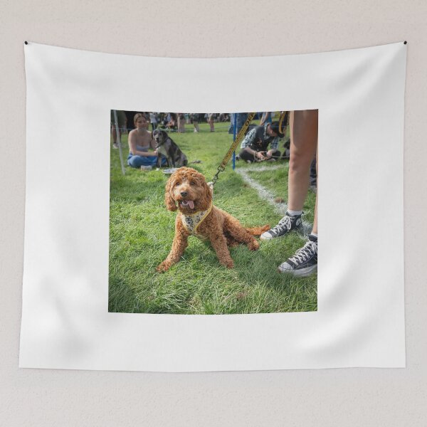 Item preview, Woodside RSPCA dog show, Knighton Park 2023 designed and sold by Woodside-RSPCA.