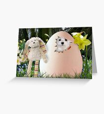 Snowdrop the Maltese - Is it Easter Yet ? Greeting Card