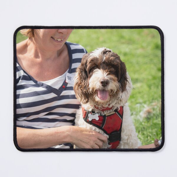 Item preview, Woodside RSPCA dog show, Knighton Park 2023 designed and sold by Woodside-RSPCA.