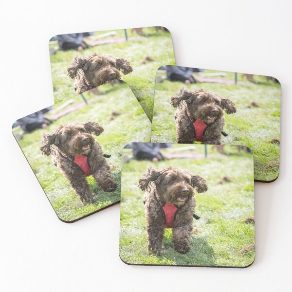 Item preview, Woodside RSPCA dog show, Knighton Park 2023 designed and sold by Woodside-RSPCA.